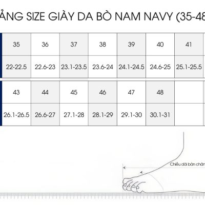 Giày nam big size tphcm GTD040 đen