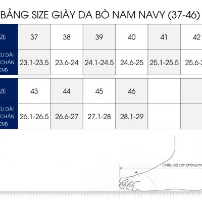Giày Nam Big Size GTD015 Nâu