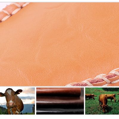 Giày lười big size nam GTD042 lười vàng